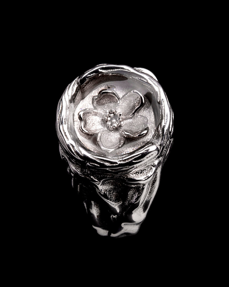 Sakura - Shiny Ring